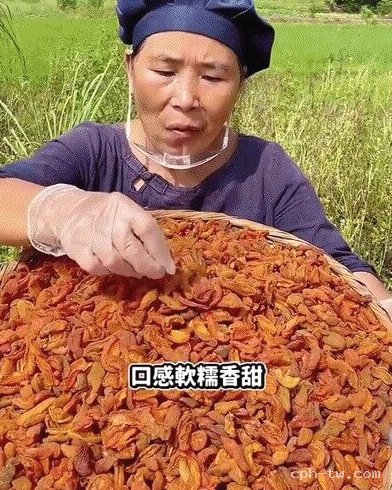 竹鹽枇杷乾&copy;萃品匯
